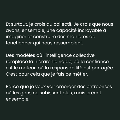 Copie de Copie de synegies (11)
