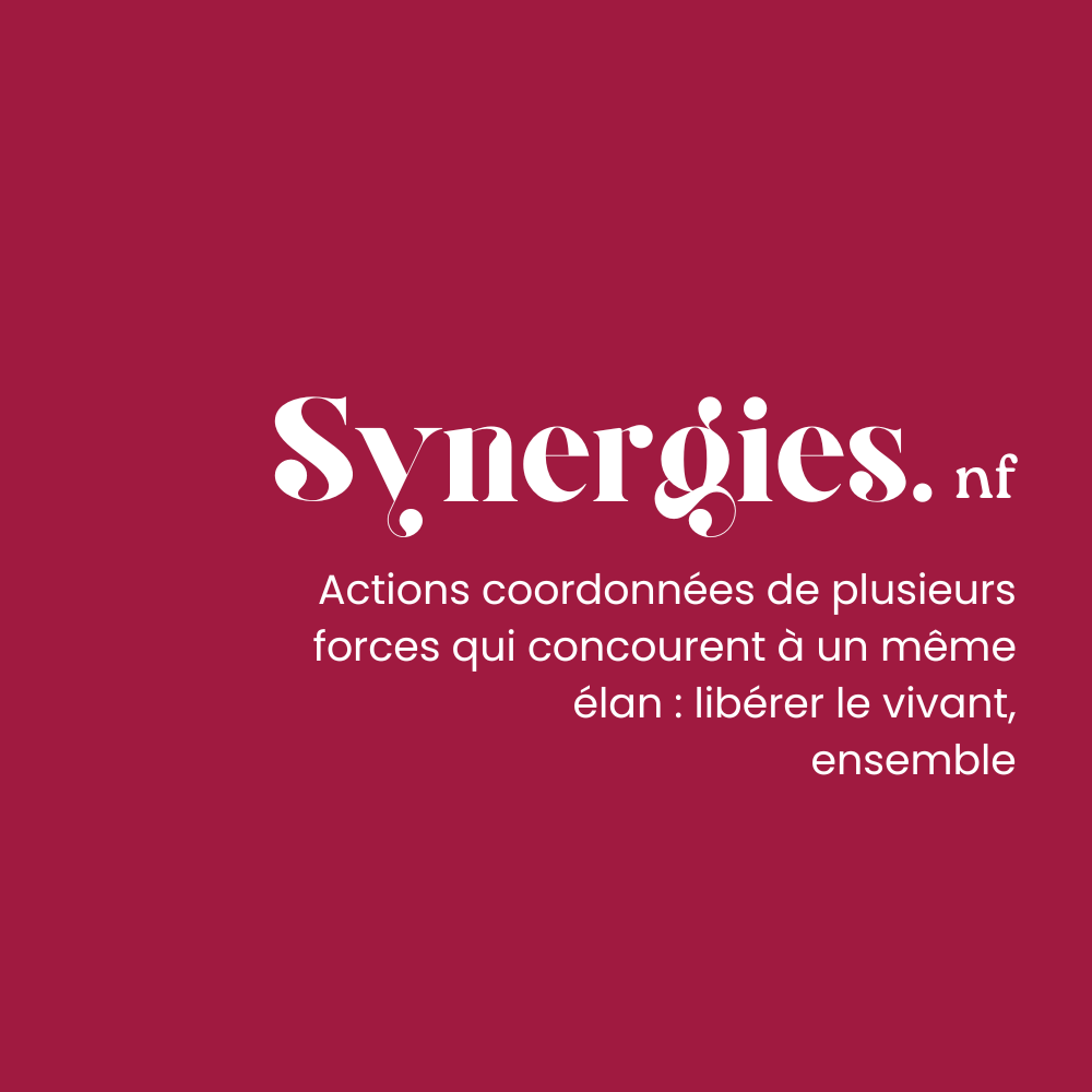 Synergies Nomades Definition